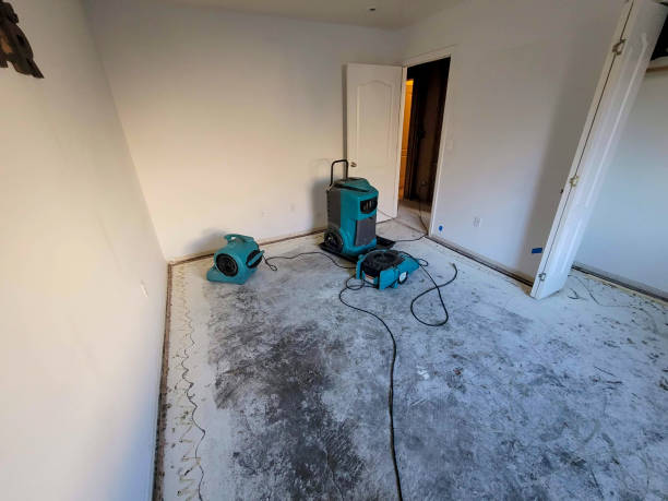 Best 24-hour water damage restoration  in Folsom, CA