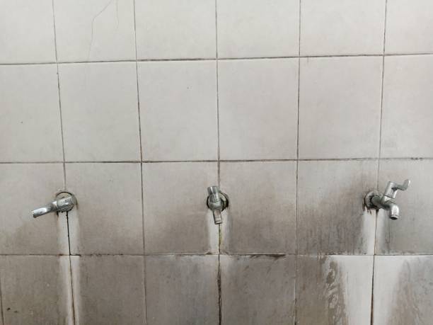 Best Water damage restoration near me  in Folsom, CA