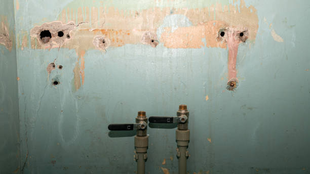  Folsom, CA Water damage restoration Pros