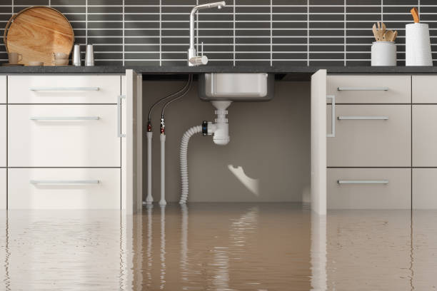 Best Mold removal after water damage  in Folsom, CA