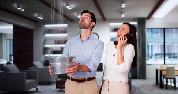 Best Flood damage cleanup  in Folsom, CA