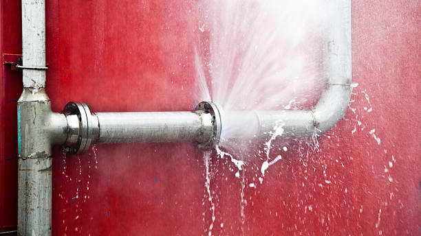 Best Mold removal after water damage  in Folsom, CA