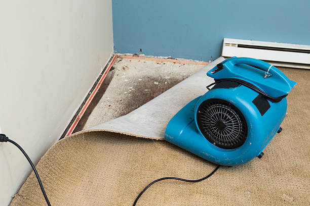 Best Flood restoration services  in Folsom, CA